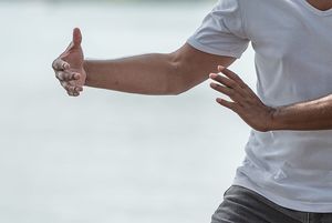 Vortragsreihe - Thema Qigong